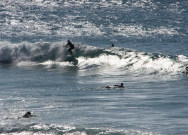 Cabalgando las olas (San Sebastin - Donosti)