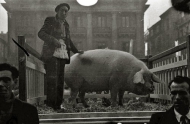 Cerdo Santo Toms 1948 (San Sebastin - Donosti)