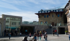Aquarium (Palacio del mar) (San Sebastián - Donosti)